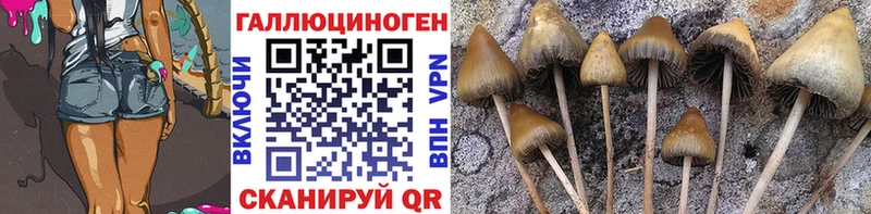 Галлюциногенные грибы Cubensis  Смоленск 